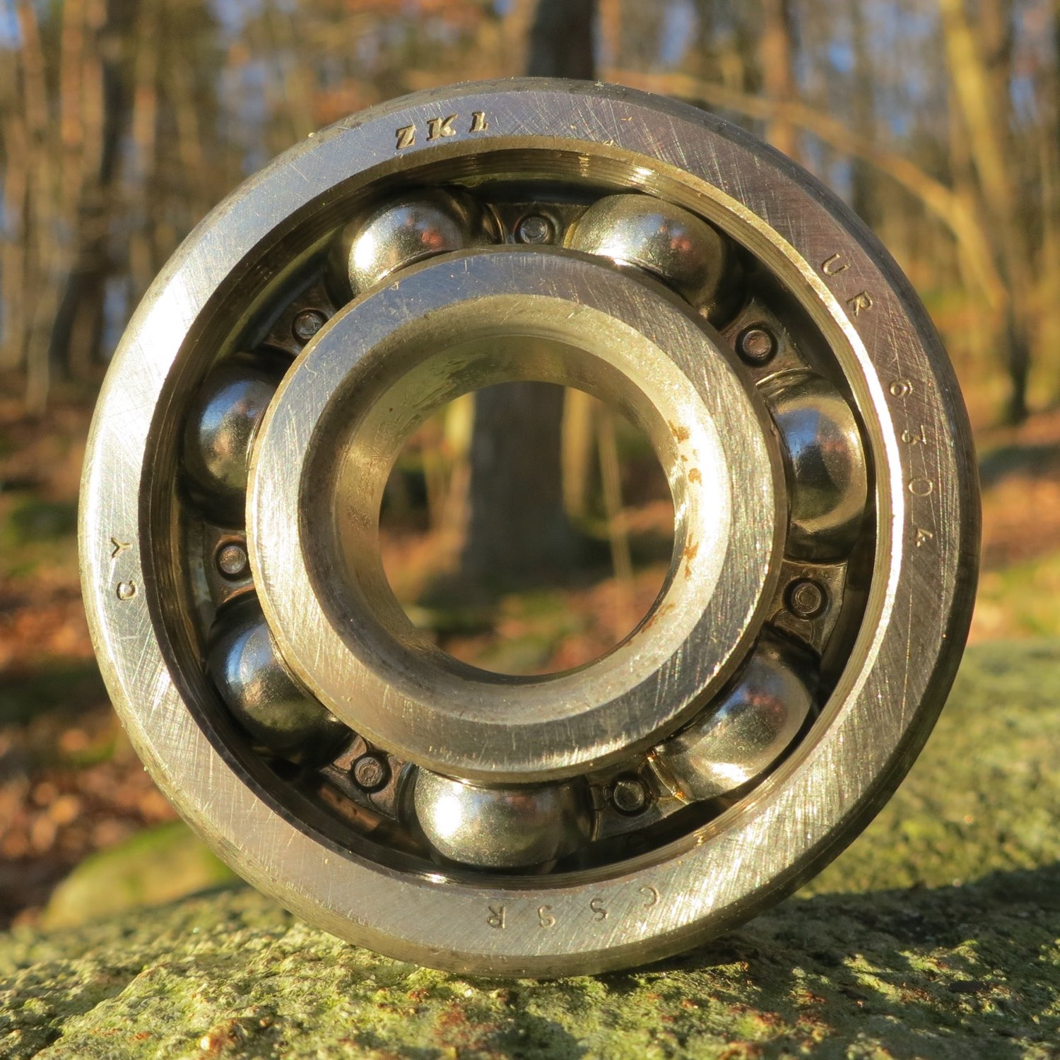 Bearings & Pedestals